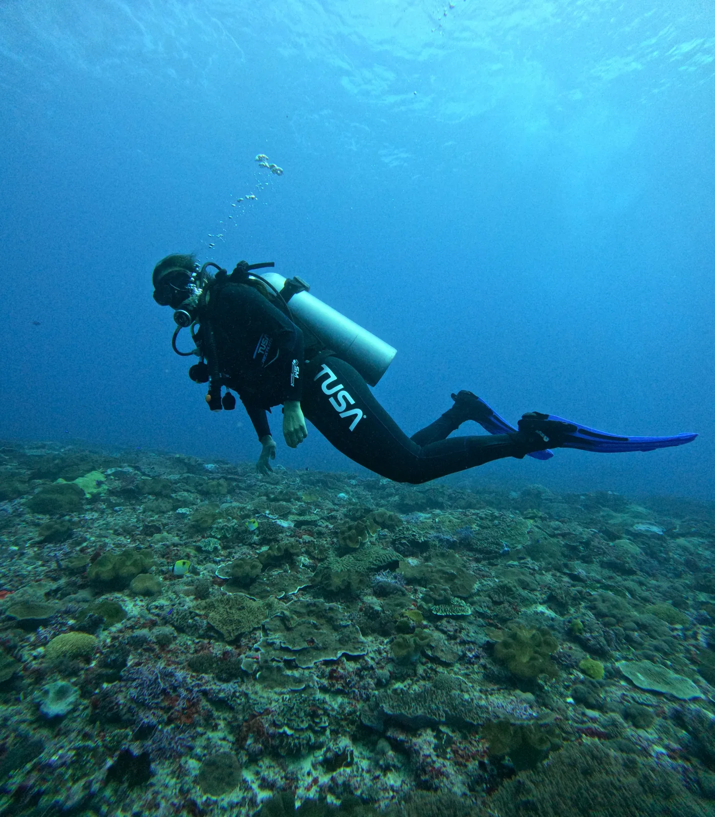 Underwater diving experience near Nusa Penida
