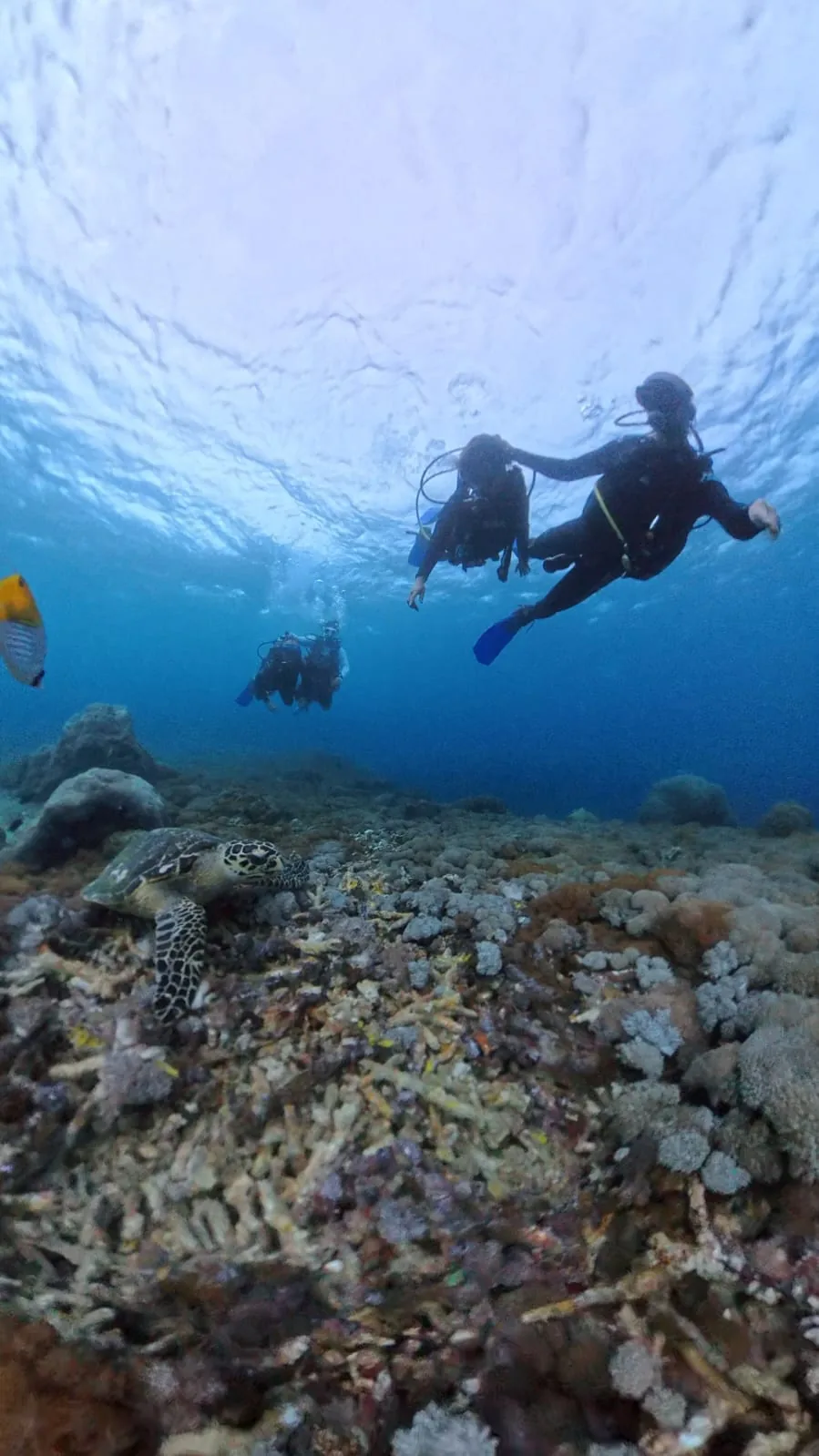 Discover Scuba Diving participant in Nusa Penida